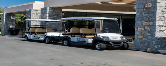 Golf cart batteries