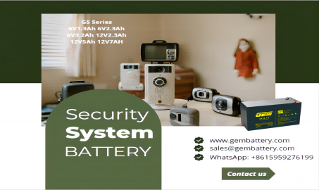 GS series home security system batteries: protect your home and protect your safety